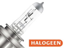 Halogen
